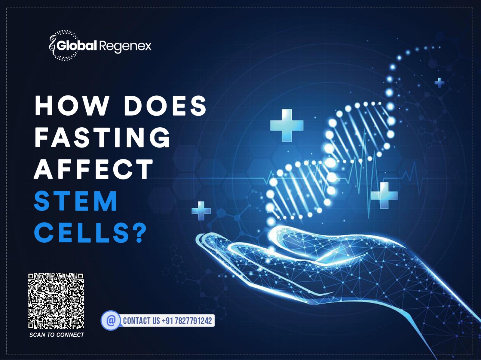 How Does Fasting Affect Stem Cells?