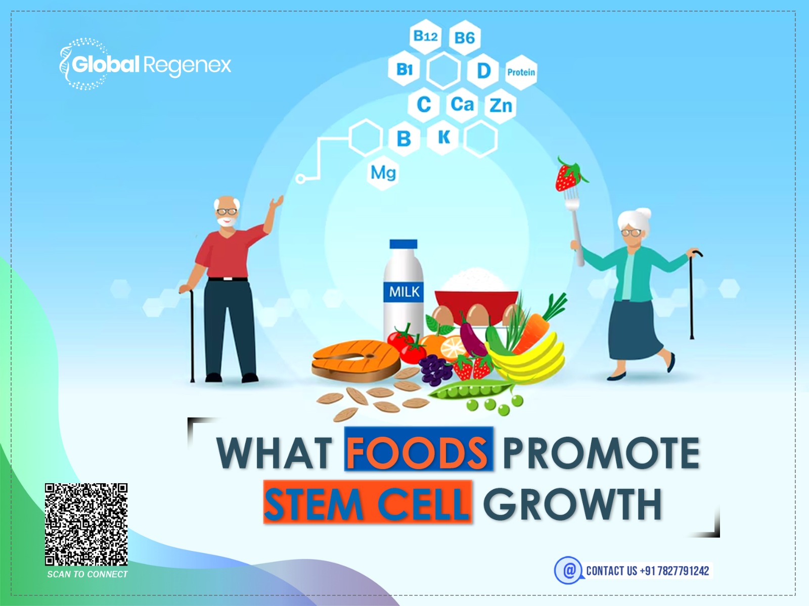 What Foods Promote Stem Cell Growth?