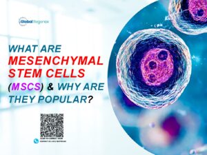 Stem Cell