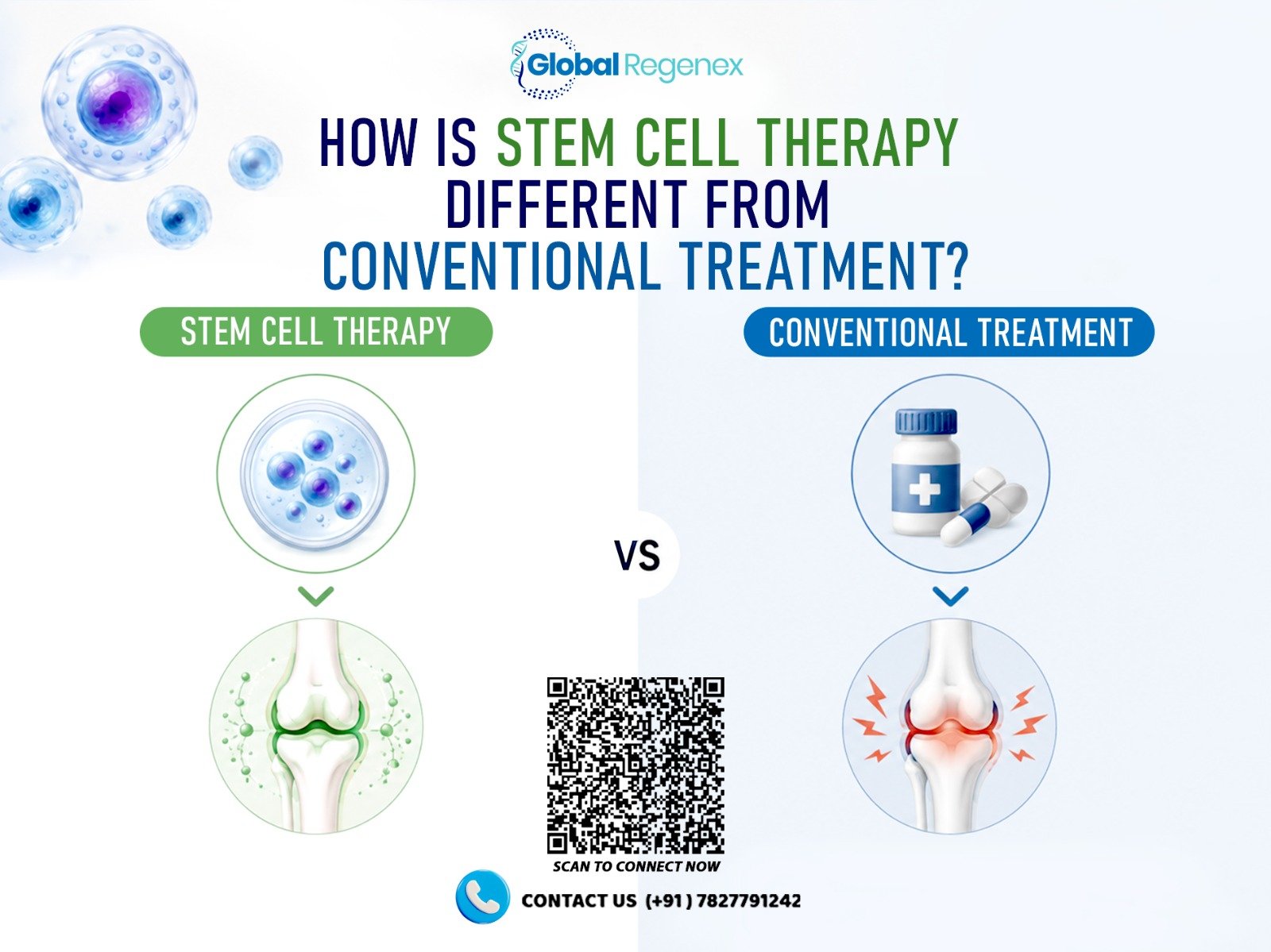 Stem Cell