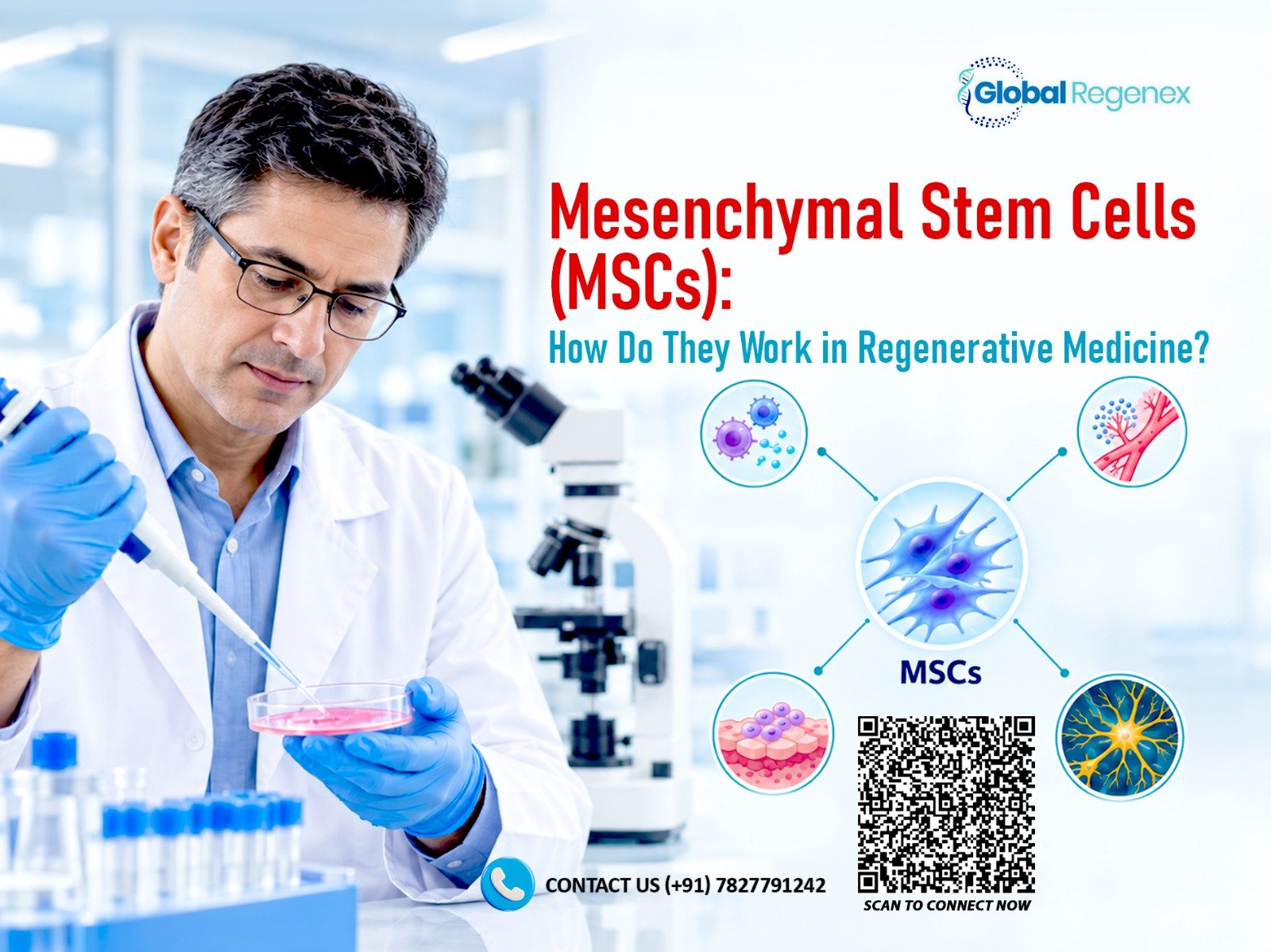 How Do Mesenchymal Stem Cells Work in Regenerative Medicine?